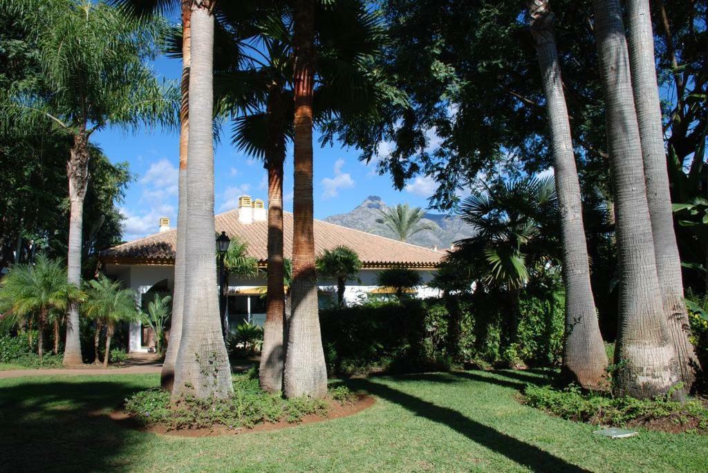 Great Puerto Banus Apartment Marbella Buitenkant foto